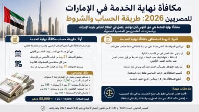مكافأة نهاية الخدمة في الإمارات للمصريين 2026: طريقة الحساب والشروط 16 مكافأة نهاية الخدمة في الإمارات للمصريين 2026: طريقة الحساب والشروط
